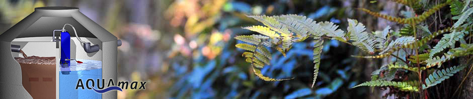 fern_aquamax.jpg