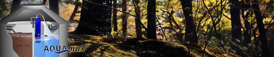 forest_floor_aquamax.jpg